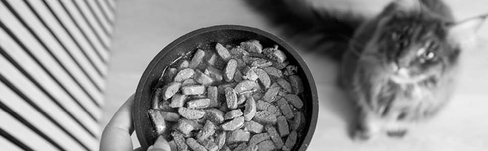 100% Nöjdhetsgaranti