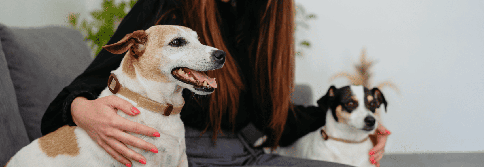 2024_04_16_A7206829 1 (1).png