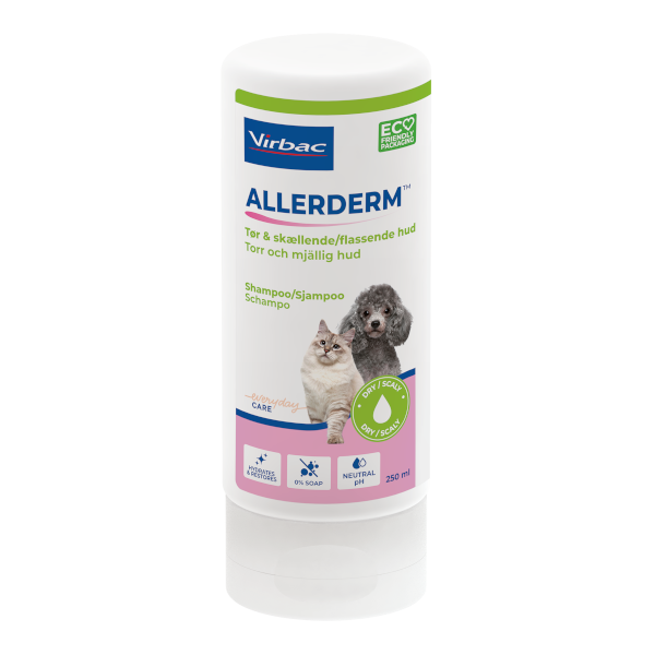 Allerderm Torr Hud schampo