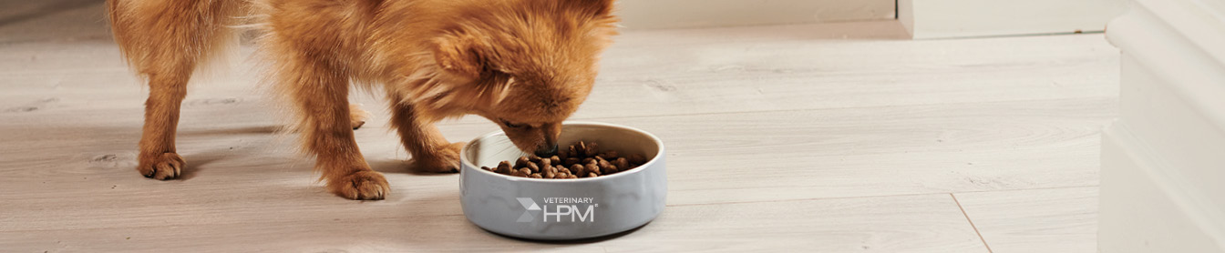 Nytt utseende. Samma kärlek till ditt sällskapsdjur.