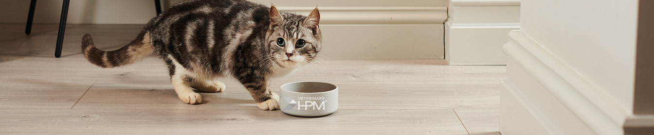 Upptäck HPM kattfoder