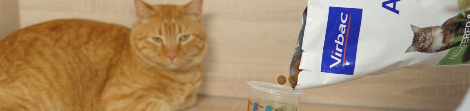 Din katt har kastrerats …