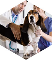 hexagon-clinic.jpg