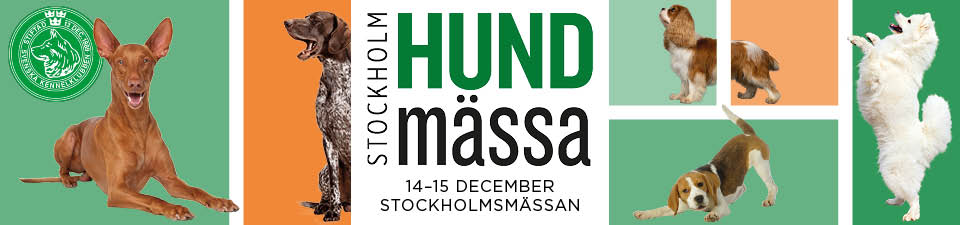 Stockholm_hundmaessan_2019.jpg