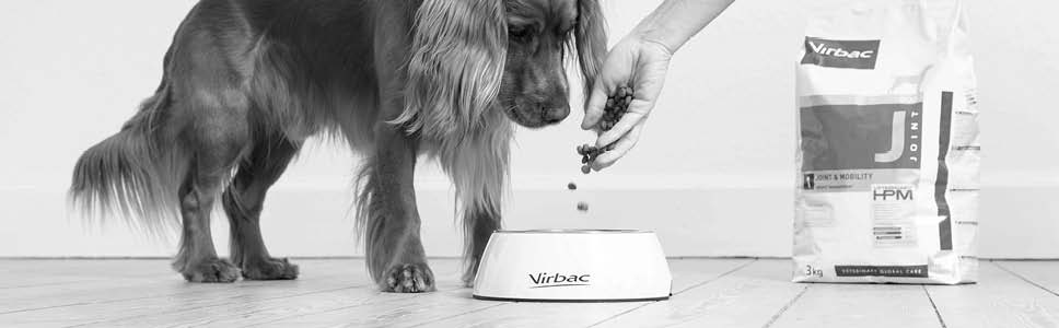 Virbacs foder för hundar med ledproblem