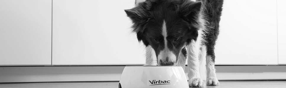 Läs mer om Virbacs foder för hundar med ledproblem