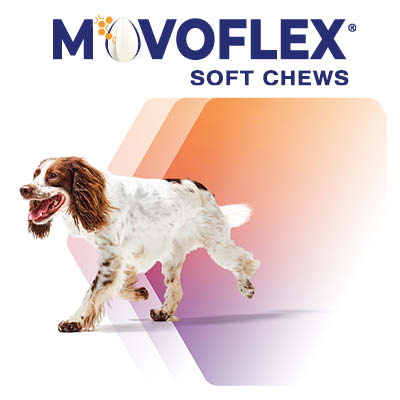 Movoflex_tygegbider_logo.jpg