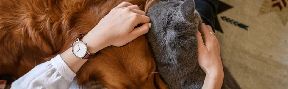 Elektronisk identifiering