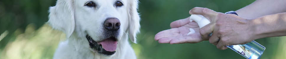 Är du intresserad av torrschampo?