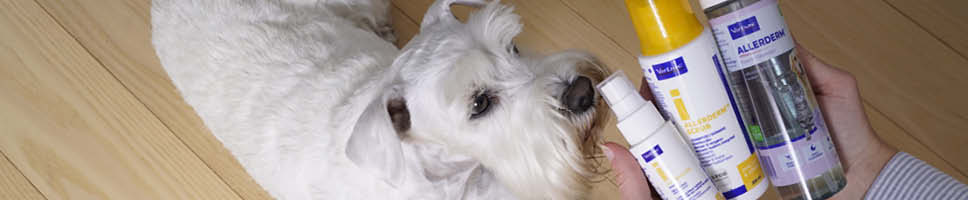 Funderar du på att köpa torrschampo till ditt sällskapsdjur?
