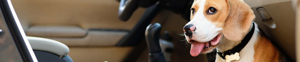 Här hittar du fler resetips