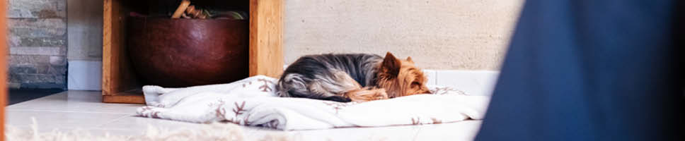 Beteende och otrygghet