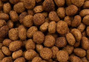 HPM Kibbles