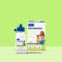 DK_SE_Pronefra-Oral-Suspension_Unity-visual_1_2026.jpg