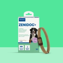 DK_SE_Zenidog-Collar_Unity-visual_6_2026.jpg