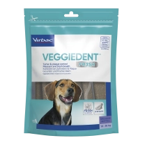 307866_Bag_Veggiedent-Fr3sh_M_face.png
