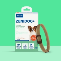 DK_SE_Zenidog-Collar_Unity-visual_1_2026.jpg