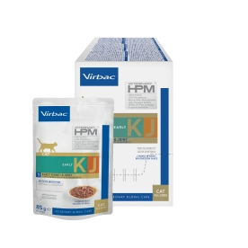 HPM Wet - early kidney cat