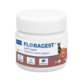 Floragest dog
