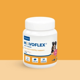 Movoflex dog