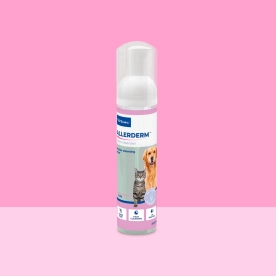 Allerderm foam