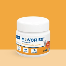 Movoflex dog