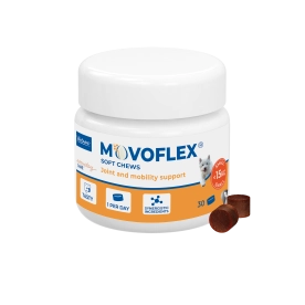 Movoflex dog