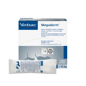 Megaderm